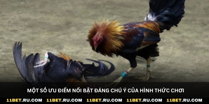 Một số ưu điểm nổi bật đáng chú ý của hình thức chơi