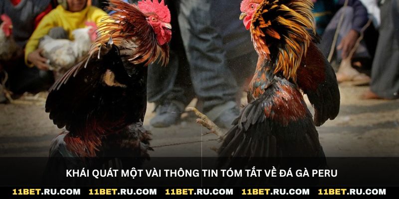 Khái quát một vài thông tin tóm tắt về đá gà Peru