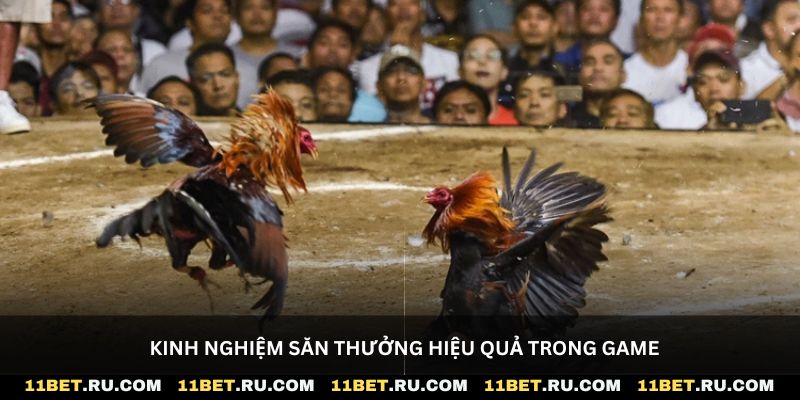 Kinh nghiệm săn thưởng hiệu quả trong game
