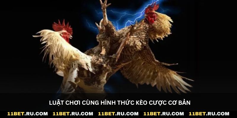 Luật chơi cùng hình thức kèo cược cơ bản