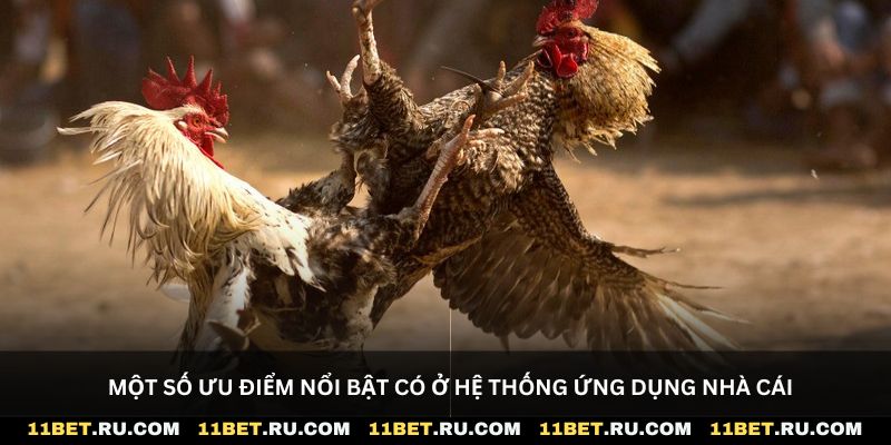 Một số ưu điểm nổi bật có ở hệ thống ứng dụng nhà cái