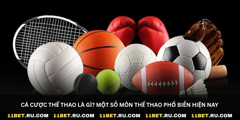 Cá cược thể thao là gì? Một số kèo cược phổ biến hiện nay