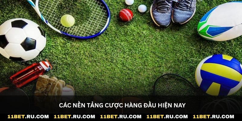 Các nền tảng cược hàng đầu hiện nay