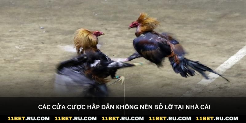 Các cửa cược hấp dẫn không nên bỏ lỡ tại nhà cái