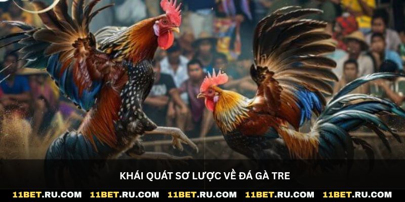 Khái quát sơ lược về đá gà tre