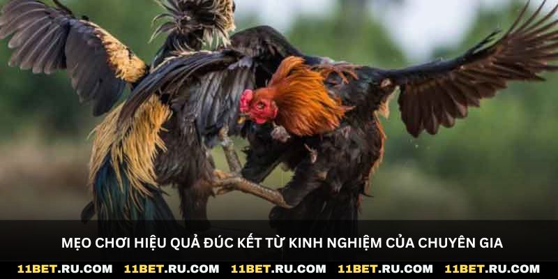 Mẹo chơi hiệu quả đúc kết từ kinh nghiệm của chuyên gia