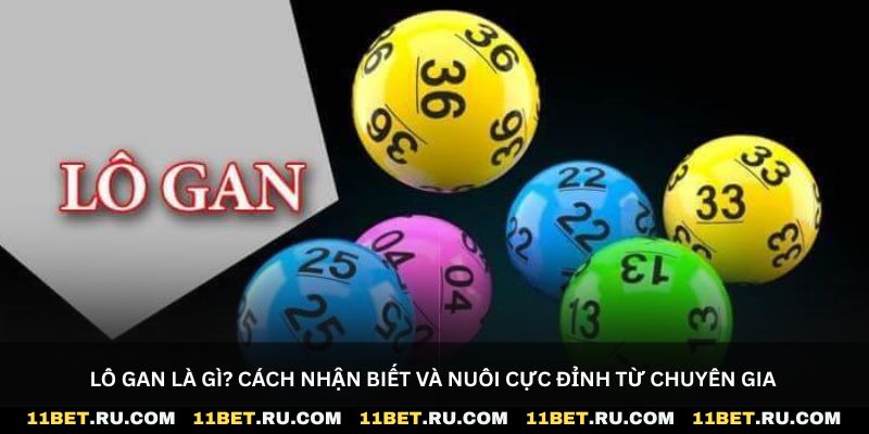 Lô gan là gì? Cách nhận biết và nuôi cực đỉnh từ chuyên gia