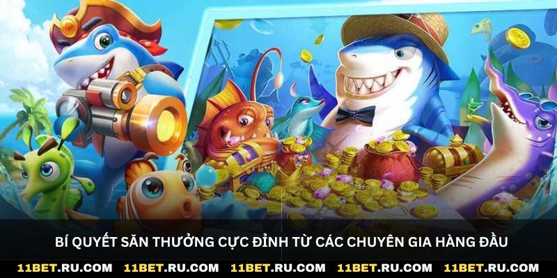 Bí quyết săn thưởng cực đỉnh từ các chuyên gia hàng đầu