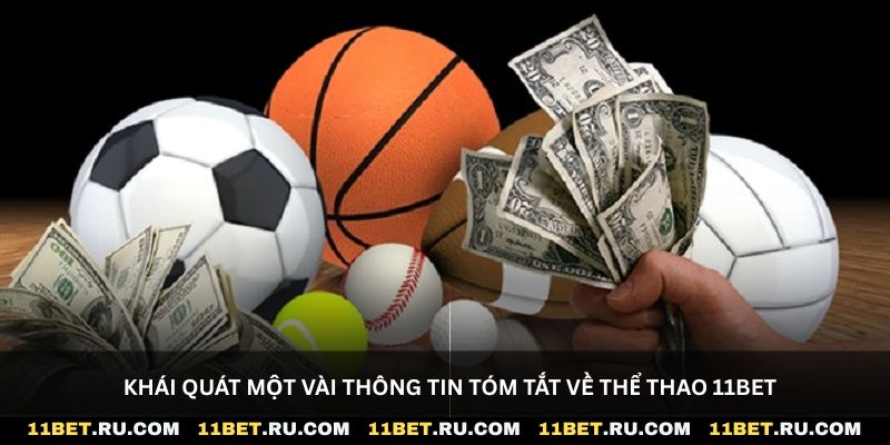 Khái quát một vài thông tin tóm tắt về thể thao 11Bet